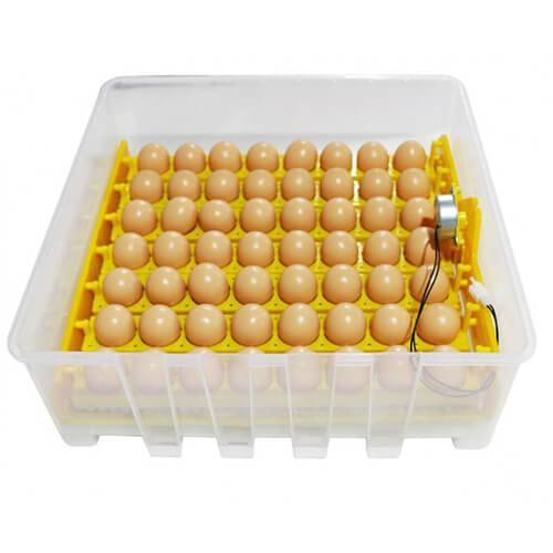 Incubatoare automate pentru 56 oua