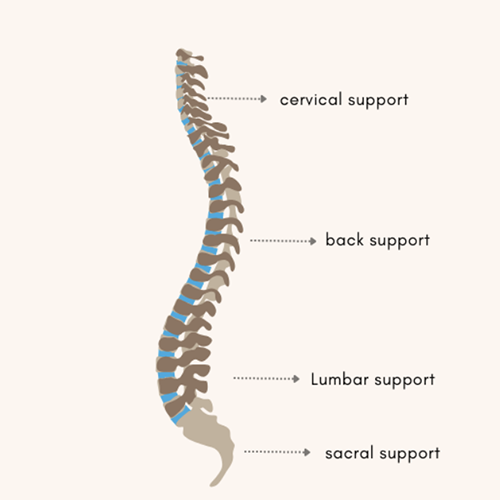 Balasoare cocon ergonomice